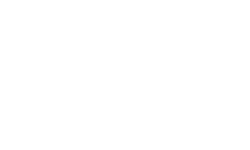 partner shopify